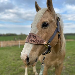 Custom Tooled Bronc Halters