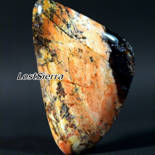 Colorful Nevada "Hubbard Basin" Petrified Wood Cabochon RESERVED for Patty