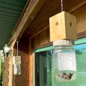 Könnte beinhalten: Eine Holz-Bienenfalle mit einem befestigten, durchsichtigen Glas. Das Glas enthält mehrere tote Bienen. Die Falle hängt an einer Schnur, mit einem Holzblock oben. Der Hintergrund zeigt eine Holzkonstruktion und einen grünen Fensterrahmen.