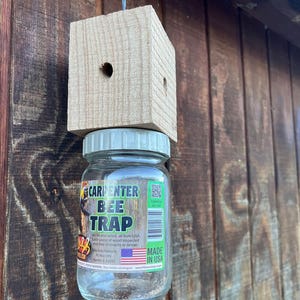 Könnte beinhalten: Eine Carpenter-Bienenfalle aus einem Glas und einem Holzblock. Auf dem Glas steht "CARPENTER BEE TRAP" und "MADE IN USA". Der Holzblock mit zwei Löchern ist an einer blauen Schnur aufgehängt. Das Produkt ist für den Außenbereich.