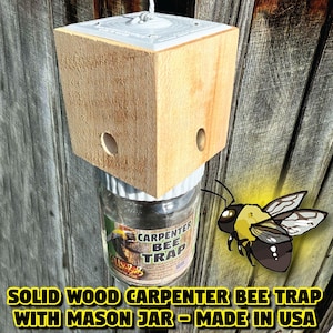 Könnte beinhalten: Eine Carpenter-Bienenfalle aus massivem Holz mit einem Einmachglas-Sockel. Der Holzquader hat zwei Löcher und eine weiße Oberseite. Auf dem Glas steht "CARPENTER BEE TRAP". Eine Cartoon-Biene ist ebenfalls zu sehen.