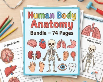 Lernpaket „Anatomie des menschlichen Körpers“ | 3 Arbeitsblätter für Kinder | Körpersysteme, Organe & Aktivitäten | PDF zum Ausdrucken