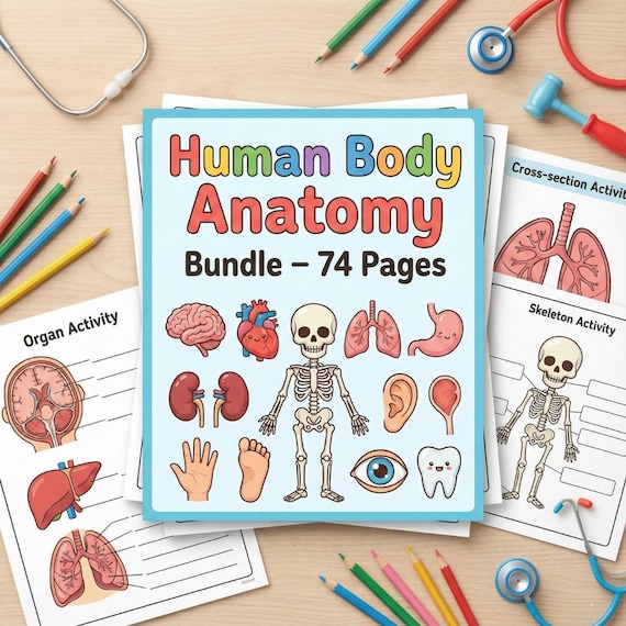 Human Body Anatomy Busy Books Bundle | 3 Educational Worksheets for Kids | Body Systems, Organs & Activities | Printable PDF