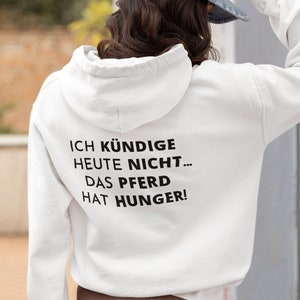 Funny horse hoodie, horse sweater with printed back, lightweight unisex hoodie, gift for horse owners