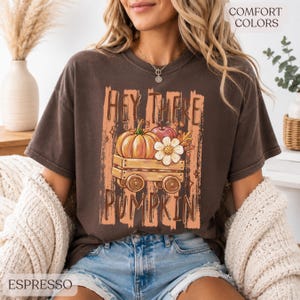 Op de afbeelding: Een espresso-kleurig t-shirt met korte mouwen en een grafische print van een houten wagen met een pompoen, een appel en een witte bloem. De tekst "HEY THERE PUMPKIN" is in een verweerd lettertype boven en onder de illustratie gedrukt.