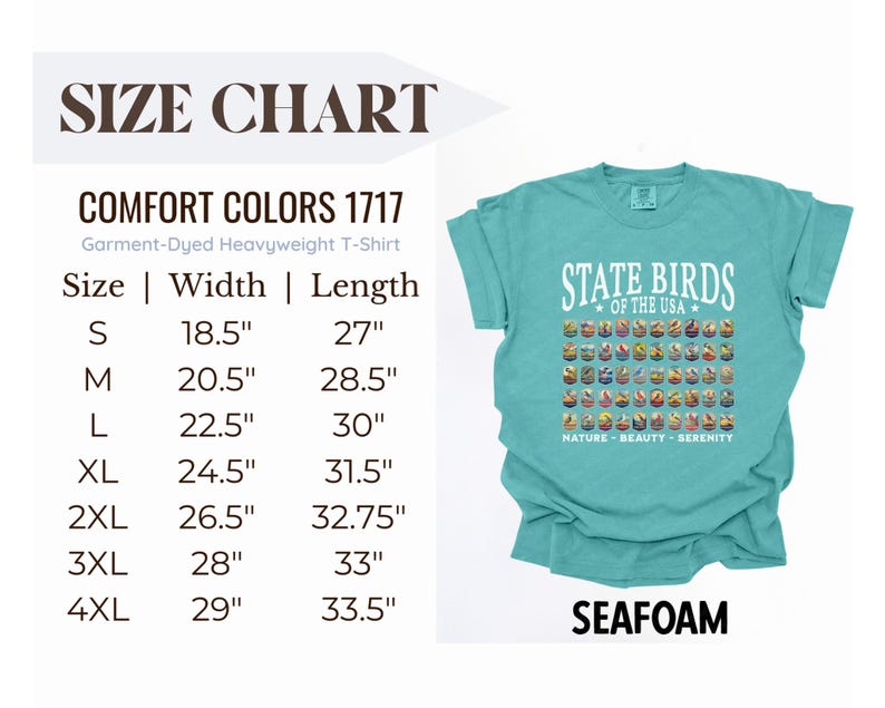 May include: A size chart for a seafoam green t-shirt with the text "State Birds of the USA" and a graphic of various state birds. The shirt is a garment-dyed heavyweight t-shirt. Sizes range from S to 4XL with corresponding width and length measurements in inches.
