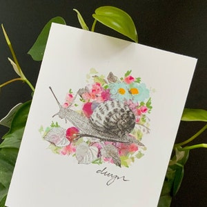 set of 6 - garden snail - greeting cards