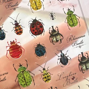 Op de afbeelding: Een vel decoratieve stickers met verschillende kleurrijke insectenillustraties, waaronder kevers en lieveheersbeestjes. De stickers hebben een transparante achtergrond en bevatten de tekst "Rhinoceros Beetle" en "Longhorn Beetle" in elegant schrift.