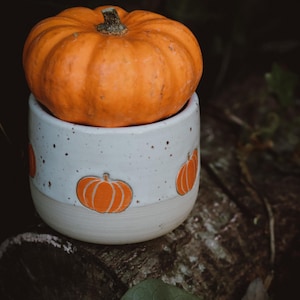 Può includere: Una zucca arancione è appoggiata su una tazza di ceramica bianca decorata con illustrazioni di zucche arancioni. La tazza ha una finitura macchiettata e una base beige chiaro. Lo sfondo è scuro e naturale.