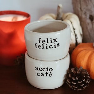 Magische mok | Koffiemok | Accio koffiemok | Felix Felicis | Handgemaakt cadeau | Harry Potter