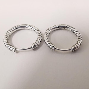 Pandora Silver Moments Small Charm Hoop Earrings S925 Ale