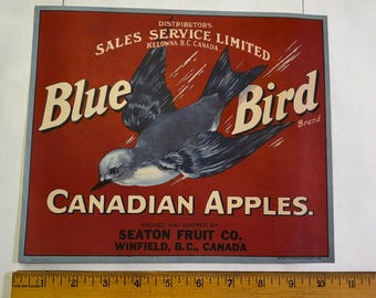 Vintage Blue Bird Canadian Apples Crate Label – Bold Okanagan BC Graphic Art