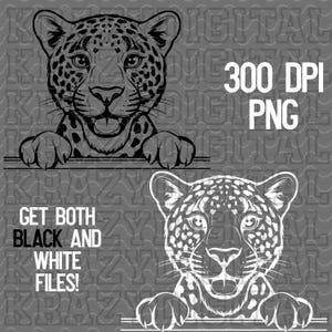 Cheetah Mascot Design, Leopard Artwork, Jaguar Cute Mascot Design, Safari Animal Decor, Black White Ocelot, Simple Mascot Digital Design