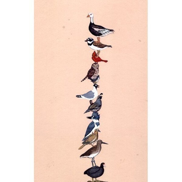 Bird Stack - Fine Art Print 8x10