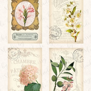 Botanical Fashion Collage Paper & Ephemera Peach Dreams Digitals 8 1/2 x 11 image 3