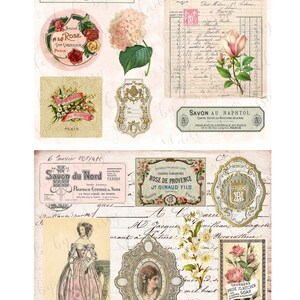 Botanical Fashion Collage Paper & Ephemera Peach Dreams Digitals 8 1/2 x 11 image 6