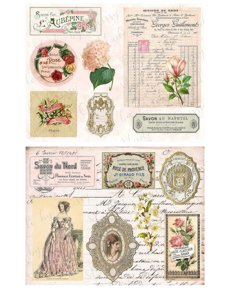 Botanical Fashion Collage Paper & Ephemera Peach Dreams Digitals 8 1/2 x 11 image 6