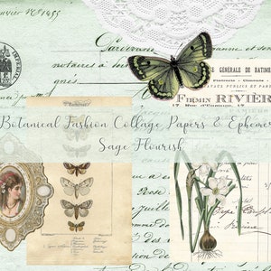 Carta per collage di moda botanica ed effimeri - Sage Flourish Digitals (8 1/2" x 11")