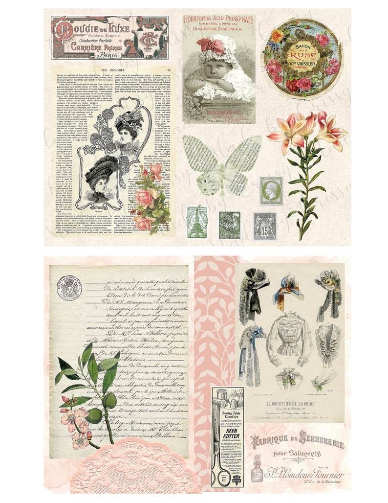 Botanical Fashion Collage Paper & Ephemera Peach Dreams Digitals 8 1/2 x 11 image 7