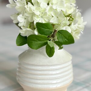 Peut inclure: Un petit vase en céramique blanc cassé, avec des rainures horizontales, contient un bouquet de fleurs blanches et de feuilles vertes. Le vase repose sur une nappe à carreaux. Les fleurs sont en pleine floraison.