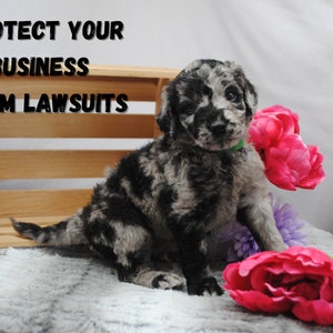 Protect your business from lawsuits and legal fees that could cost a fortune. Have protective policies in place. Get the signature of your customers agreeing to your policies. Avoid fear when you are legally protected.