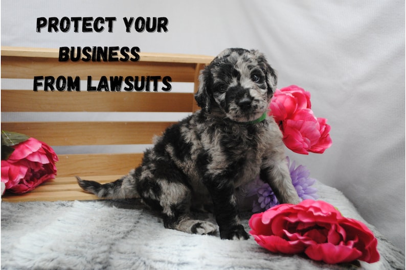 Protect your business from lawsuits and legal fees that could cost a fortune. Have protective policies in place. Get the signature of your customers agreeing to your policies. Avoid fear when you are legally protected.