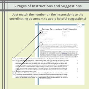 6 pages of instructions and suggestions to writing a safe contract for sale of puppies, dog breeder contracts, puppy sales, professional look