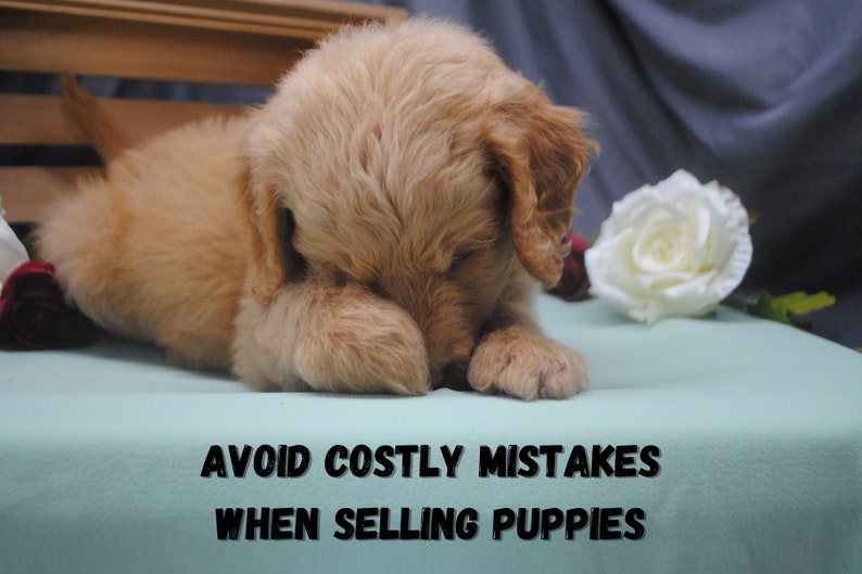 Avoid costly mistakes when selling puppies. Just like any other business, you have legal liabilities that could cause you a major headache. Be prepared to protect yourself.
