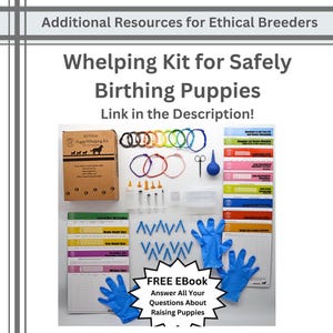 May include: A 52-piece puppy whelping kit including a cardboard box, colourful identification collars, syringes, a bulb syringe, scissors, blue gloves, and various printed tracking charts and checklists for monitoring newborn puppy health and development.