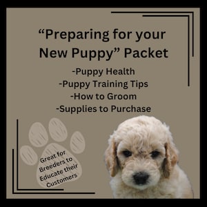 Op de afbeelding: Een bruine en witte puppy met een poot afdruk grafiek in de hoek. De tekst "Preparing for your New Puppy" Packet staat bovenaan de afbeelding. De tekst eronder luidt: -Puppy Health -Puppy Training Tips -How to Groom -Supplies to Purchase. De tekst onderaan luidt: Great for Breeders to Educate their Customers.