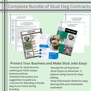 Stud Dog Contracts, Advertising Flyers, Information Sheets, and MORE!