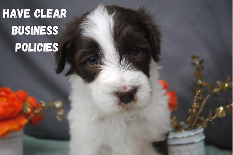 Have clear business policies for your dog breeding business. Set expectations with puppy buyers. Understand your responsibilities as a honest business and loving dog owner.
