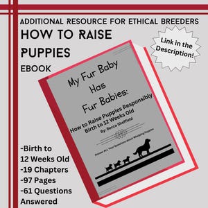May include: An ebook titled My Fur Baby Has Fur Babies: How to Raise Puppies Responsibly Birth to 12 Weeks Old by Becca Sheffield. The cover features a silhouette of a dog and three puppies, 19 chapters, 97 pages, and 61 questions answered.