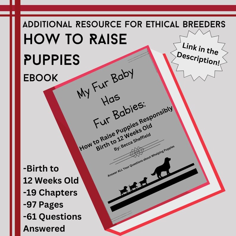 May include: An ebook titled My Fur Baby Has Fur Babies: How to Raise Puppies Responsibly Birth to 12 Weeks Old by Becca Sheffield. The cover features a silhouette of a dog and three puppies, 19 chapters, 97 pages, and 61 questions answered.