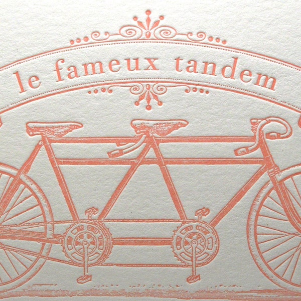 Tandem Love Wedding Anniversary Engagement Bicycle Letterpress Card Famous Bicycle Built for Two in Light Pink