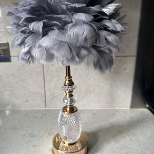 May include: A gray feather lampshade with a gold base and clear crystal accents. The lampshade is made of soft, fluffy feathers and has a delicate, feminine look.