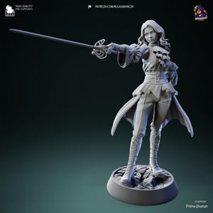 Real Mae of the Order 33 | 12K hoge resolutie 3D-geprint verzamelobject | Cadeau voor RPG Dark Fantasy-gamers | Garagekit | Hobbyschilderen
