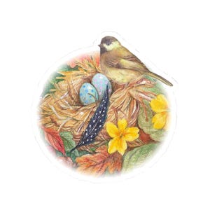 May include: A detailed illustration of a bird perched on a nest with two speckled eggs. The nest is surrounded by autumn leaves, yellow flowers, and a black and white feather. The bird has brown and yellow feathers.