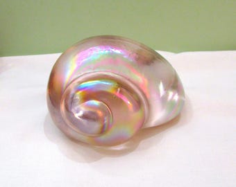 Vintage roze iriserende kunst glazen schelp presse-papier