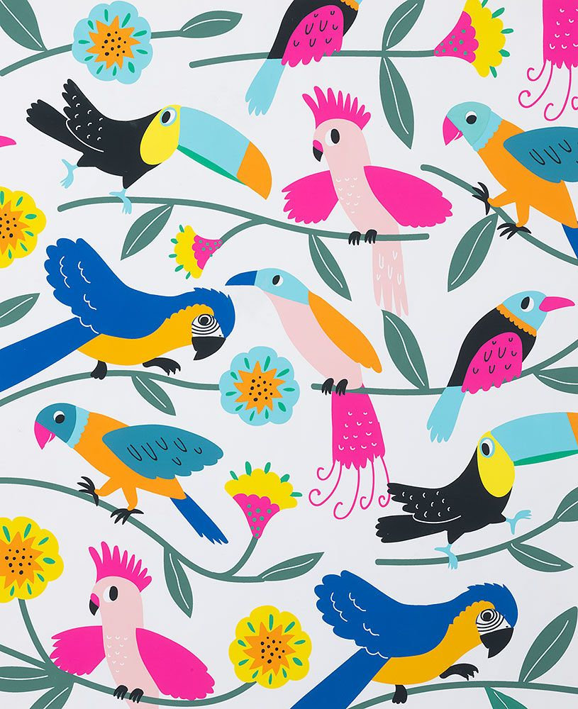Las Plumas Tropicalbirds and Parrots on Natural Background, 100