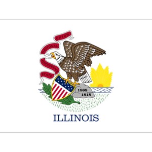 Foglio di adesivi con la bandiera dell'Illinois – Adesivi in vinile opaco con la bandiera – Adesivi resistenti all'acqua per laptop, bottiglie d'acqua e diari – Foglio di adesivi 6x8