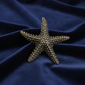 May include: A bronze-colored starfish with a textured surface and small, raised dots. The five-pointed sea star is set against a dark blue, velvety background, creating a contrast in textures and colors. This decorative piece evokes a nautical theme.