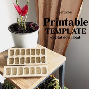 May include: Two beige ceramic pill organizers with the days of the week labeled. The image also features a potted plant with red leaves and the text "Printable TEMPLATE digital download."