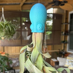 May include: A blue octopus-shaped planter with a green air plant hanging from it. The planter is hanging from the ceiling in a room with wooden beams and a ceiling fan.