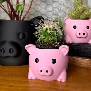 May include: Two pink pig-shaped planters with black eyes and snouts. One planter holds a small green cactus and the other holds a green cactus with a brown stem.