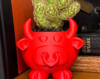 Bull Planter, 3D Printed:  Bull Bowl, 40 Color Options, Sports Planter, BULLS