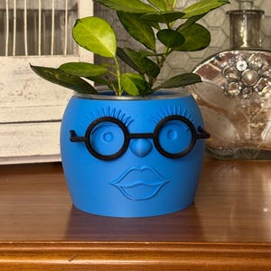 May include: A blue ceramic planter with a face design, featuring black glasses and lips, holding a green plant with variegated leaves. The planter is on a wooden surface, with a decorative bottle in the background.