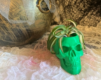 Skull Head Planter, 3D Printed: Mini Version, Small Succulent, Air Plant Pot or Seed Starter, 40 Color Options