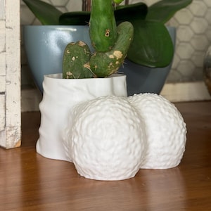May include: A white ceramic planter with a unique shape, holding a green cactus. Two textured white spheres sit in front of the planter. The cactus has multiple green segments and small spines. The background includes a blue pot and decorative flowers.