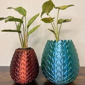 May include: Two potted plants in dragon egg-shaped planters. The planter on the left is a deep red color and the planter on the right is a teal blue color.